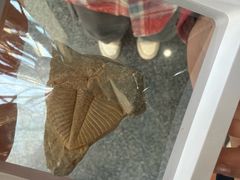 -房山世界地质公园博物馆