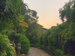 -厦门日月谷温泉渡假村