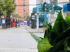 -OT另茶(上海幸福里店)