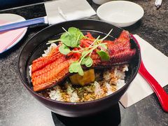 -奥兰多迪士尼动物王国乐园