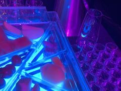 -PAPAYA CLUB 酒吧(深圳旗舰店)