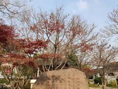 -枫桥景区