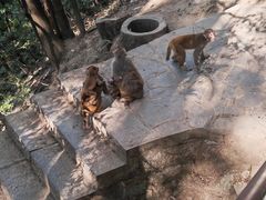 -黔灵山公园