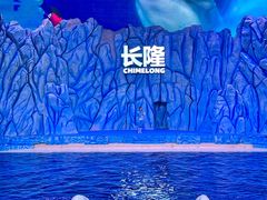 -珠海长隆海洋王国