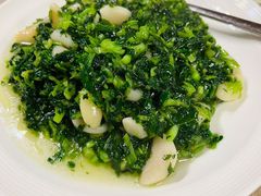 菱角毛菜-漕溪人家
