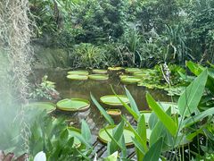 -昆明植物园