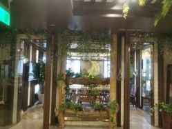 -青青一生美皮肤管理