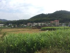 -红山村