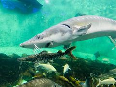 -太平洋海底世界