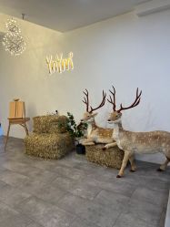 -雅尼·亚米儿童摄影美学馆(汉阳店)