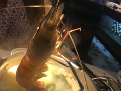 -星伦多 自助料理(圆融店)
