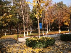 -庄怡公园