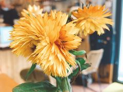 -251#coffee roasters(沿河东路店)