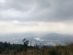 -银瓶嘴森林公园