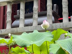 -福州开元寺