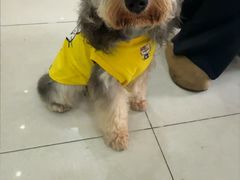 -瑞鹏宠物医院·猫专科·眼专科·产科(厚街店)