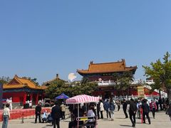 -曹州牡丹园