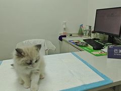 -宠颐生汉谟拉比宠物医院