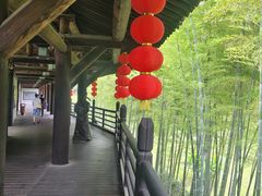 -大唐贡茶院
