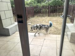 -秦皇岛阿尔卡迪亚滨海度假酒店