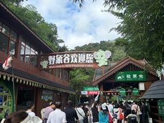 -野象谷景区