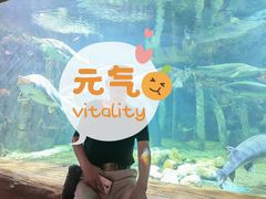 -华夏文旅海洋公园