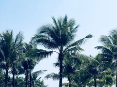 -富国岛翡翠湾 JW 万豪度假酒店