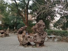 -伯先公园