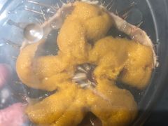 -海胆小馆(东北水饺·春柳店)