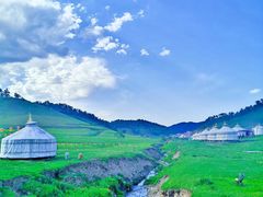 -关山牧场王师烤全羊
