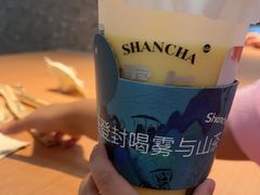 -雾与山茶(大禹城店)