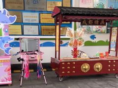 -海合安成都极地海洋公园