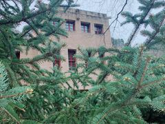 -延安杨家岭革命旧址