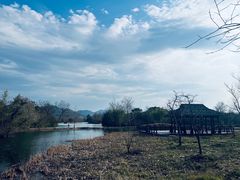 -西溪国家湿地公园