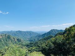 -大岭沟猕猴桃谷风景区