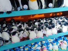 -太平洋海底世界