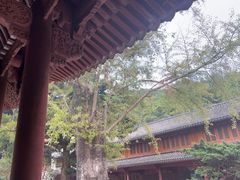 -普陀山风景名胜区-法雨禅寺