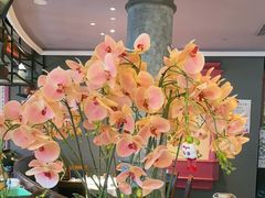 -八府香鸭·啫啫煲(华山路店)