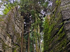 -梭布垭石林景区