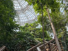 -郑州植物园