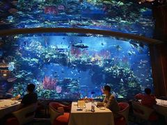 -迪拜帆船酒店海底餐厅