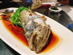 -达叔香味海鲜(海棠68环球美食街店)