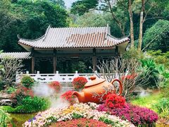 -广州市白云山风景名胜区