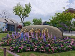 -上海植物园-4号门售票处