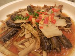 咸肉笋条蒸黄鳝-白金汉爵大酒店·中餐厅(相城店)