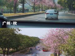 -广州塔