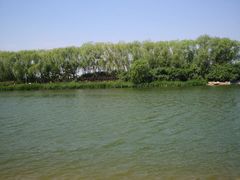 -大兴滨河森林公园