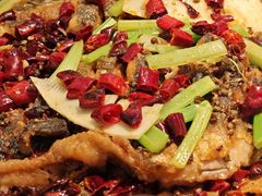 -老板恋上鱼(印象城店)