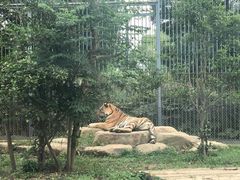 -上方山森林动物世界