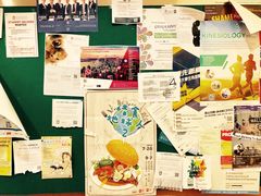 -香港大学